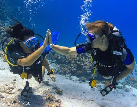 PADI Scuba Diver Course